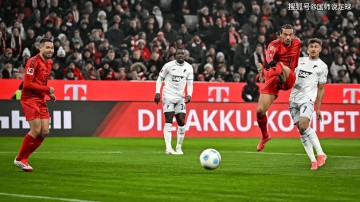 拜仁VS霍芬海姆 赛事分析